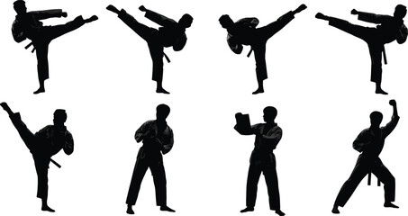 Martial arts silhouettes in various kicking and punching stances on white background demonstrating karate techniques
