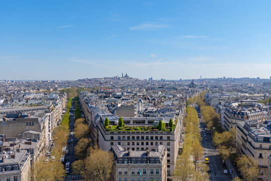 Spring cityscape of Paris, sunny day, boulevard lined with trees, rooftops below, Sacre-Coeur rising above Montmartre, serene urban panorama