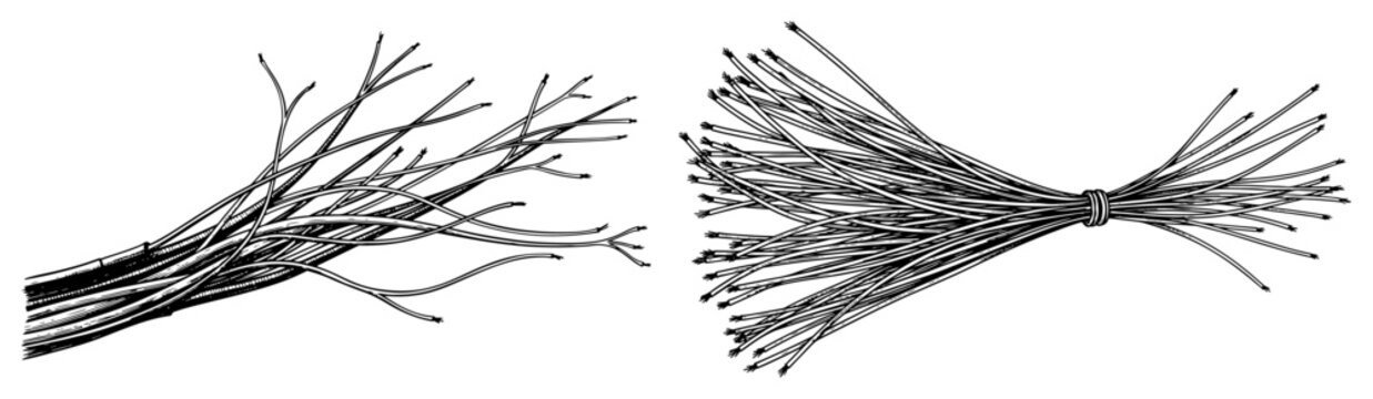 Bundle of wooden twigs and branches tied together