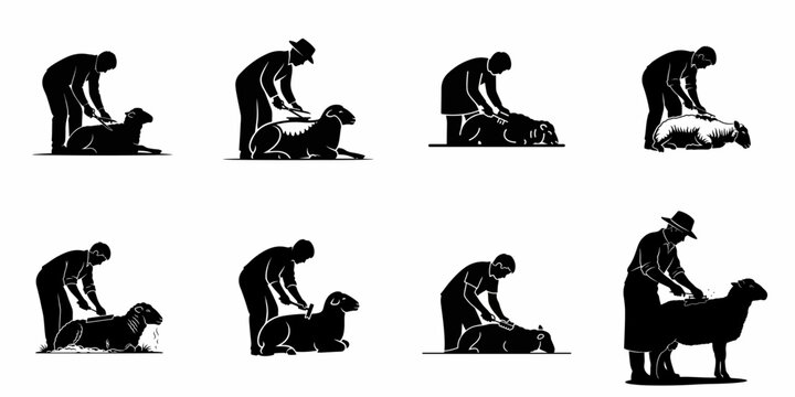Black silhouettes depicting various stages of sheep shearing, showing farmers or shearers using manual shears and electric clippers on woolly livestock.