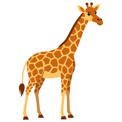 Fototapeta premium Giraffe illustration on white background. Isolated сolorful vector illustration