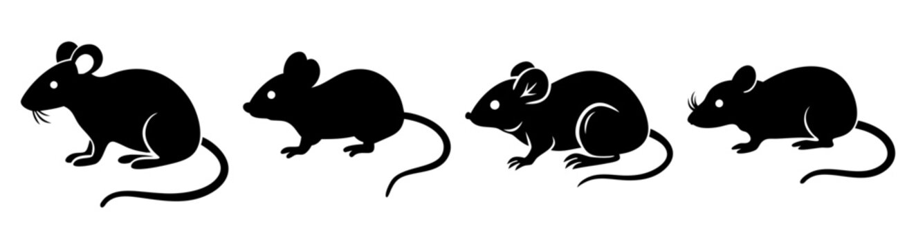 Four black laboratory mice running in sequence on white background for scientific research and medical study