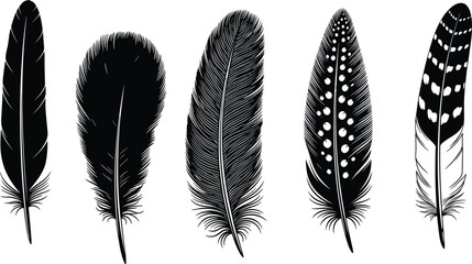 Bird feather silhouettes collection, black decorative plumage shapes, minimal boho nature elements, hand drawn vector illustration set, isolated clipart icons © Santo's World