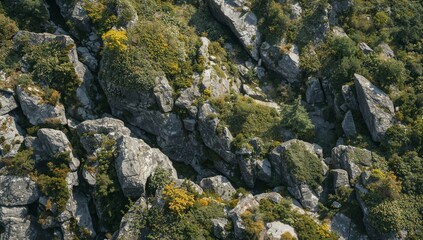 Obraz premium Rock Formations in a Natural Landscape With Greenery and Scattered Trees During Daylight