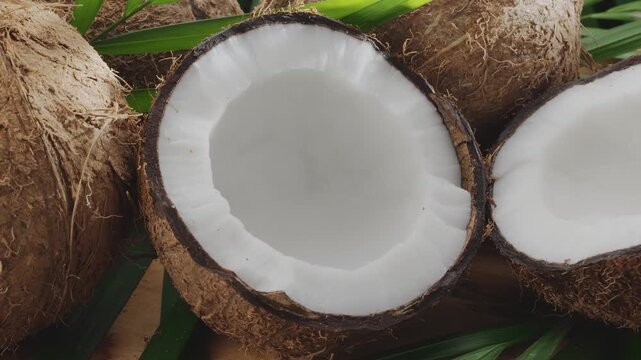 Fresh opened coconuts along with coconut slices and coconut leaves are slowly rotating on a wooden table. Nice fruit background for your projects.