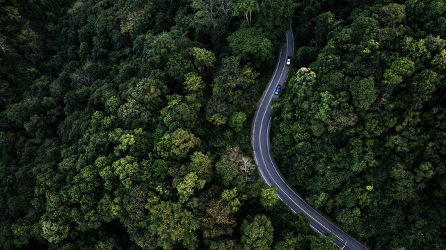 Aerial view of winding road cutting through dense green forest with cars driving, representing sustainable transportation, electric vehicle concept, smart mobility and eco friendly future infrastructu