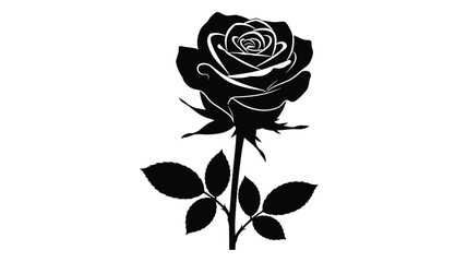a detailed black rose illustration elegantly presented as a striking silhouette © MSTMARIA