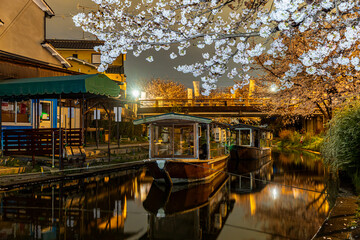 伏見十石舟 桜のある風景