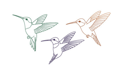 Obraz premium Elegant and simple line art illustrations of three hummingbirds in flight, rendered in green, brown, and purple outlines for design.