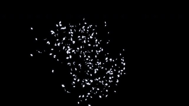 Confetti Burst from Direction with Alpha Channel, 4K ProRes 4444, Directional Burst, Silver - アルファ透過 紙吹雪 噴射パターンCG素材 方向バースト 銀