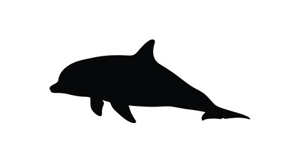 a striking black dolphin shape against a white background silhouette © ANISURRAHMAN