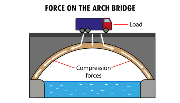 Forces on The Arch bridge forces