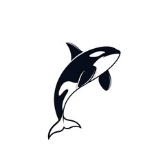 Majestic orca jumping out of water in sleek black and white