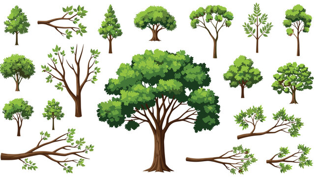 Diverse collection of green trees and deciduous branches isolated on white background for landscape design and environmental graphics.