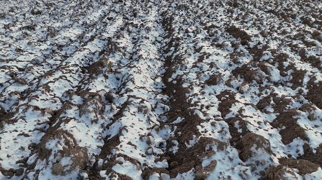 Aerial perspective of a vast agricultural land in winter showing the repetitive lines of cultivation under a cold sky during a bright daylight period