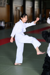 道場でダイナミックなハイキックを決める空手着の小学生女子