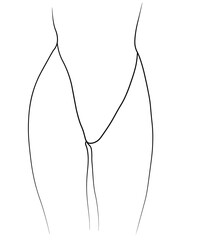 Woman legs swimsuit panties bikini hand drawing