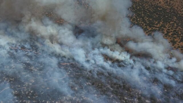 Top-down aerial drone shot of a wildfire line burning through dry vegetation with white smoke and visible flames in Las Condes, Chile and 4k.
