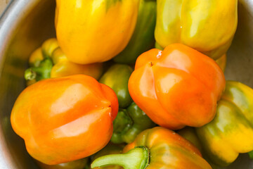 Harvest of sweet peppers of different varieties and color