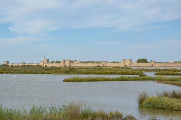Fototapeta premium Aigue Mortes - Gard - Camargue - Occitanie - France