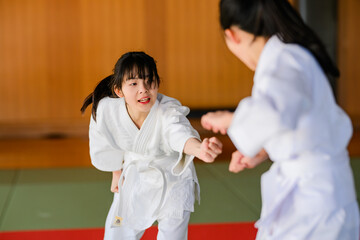 空手教室で組手の練習をする小学生の女の子二人　真剣な眼差しの武道少女 © apiox