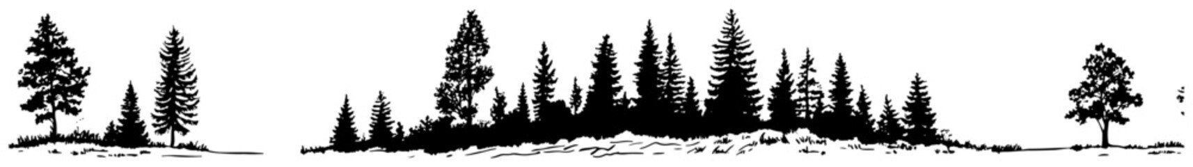 Panoramic coniferous forest horizon line with pine and spruce trees silhouettes © AdrianGebert