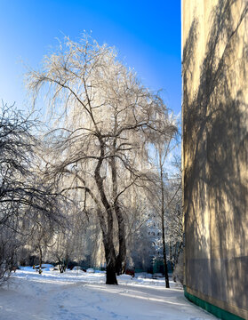 A winter city courtyard with gray multi-story panel buildings (Khrushchev-era or Brezhnev-era buildings) covered in a thin layer of snow and frost, under a bright blue sky