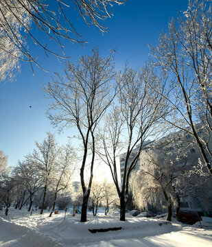 A winter city courtyard with gray multi-story panel buildings (Khrushchev-era or Brezhnev-era buildings) covered in a thin layer of snow and frost, under a bright blue sky