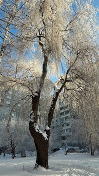 A winter city courtyard with gray multi-story panel buildings (Khrushchev-era or Brezhnev-era buildings) covered in a thin layer of snow and frost, under a bright blue sky