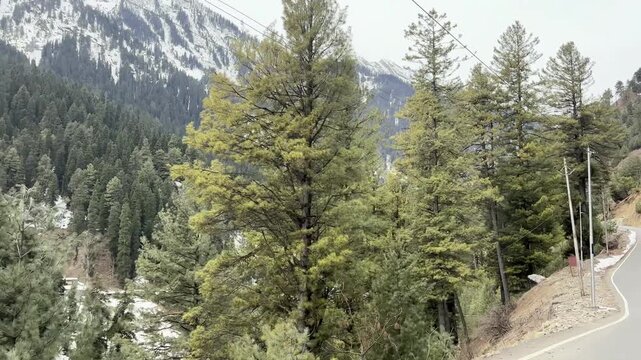 Breathtaking natural scenery of Betaab Valley featuring lush green meadows, snow-capped Himalayan peaks, flowing streams, and serene landscapes in Pahalgam, Kashmir.