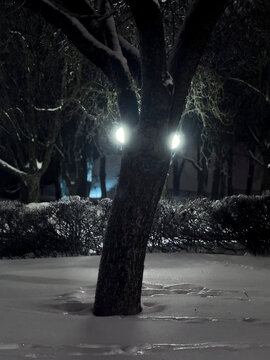 
A winter cityscape with old historic buildings covered in a glistening layer of ice after freezing rain