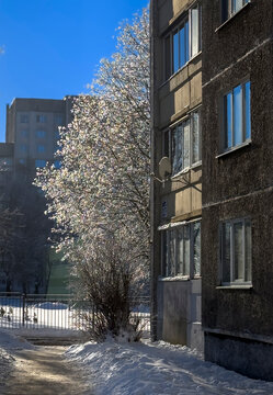A winter city courtyard with gray multi-story panel buildings (Khrushchev-era or Brezhnev-era buildings) covered in a thin layer of snow and frost, under a bright blue sky