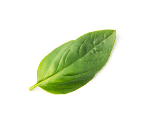 Obraz premium Fresh green basil leaves, isolated on white background.