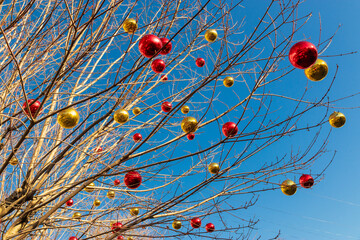 Glass multicolored balls on the branches. Winter outdoor decoration. Red and yellow Christmas balls...