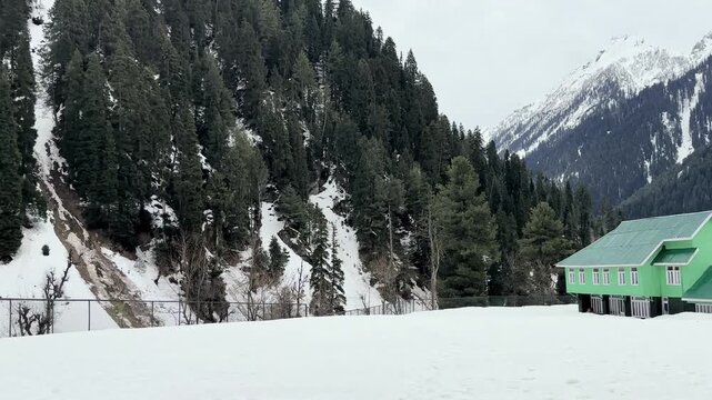 Peaceful natural landscape of Aru Valley featuring lush green meadows, pine forests, flowing rivers, and majestic Himalayan mountains near Pahalgam, Kashmir.