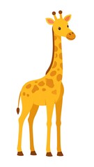 Obraz premium A cartoon giraffe with a long neck and legs on a white background