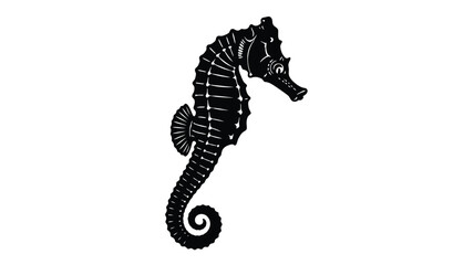 a detailed black seahorse illustration against a white background silhouette © RABEYA