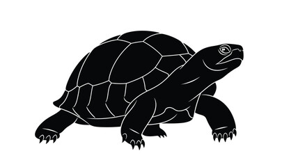 Fototapeta premium a detailed black and white illustration of a turtle in a walking pose silhouette