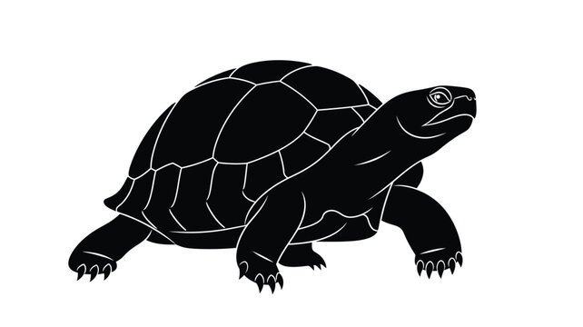 a detailed black and white illustration of a turtle in a walking pose silhouette