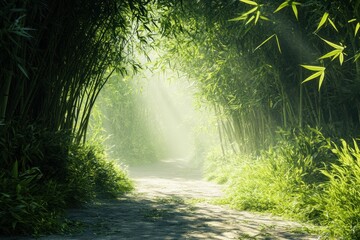 Fototapeta premium Bamboo forest pathway illuminated by soft sunlight in the early morning