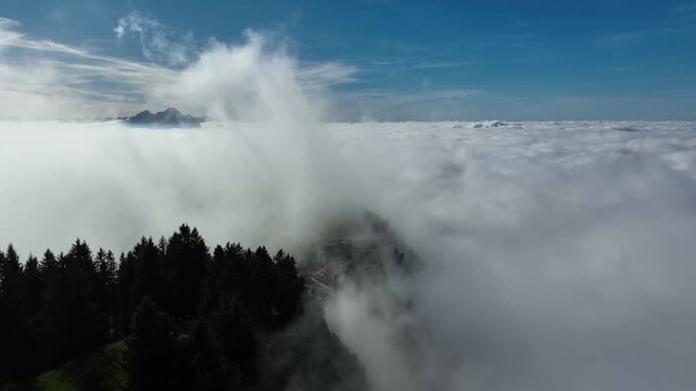 Aerial view of pine forest edge above vast sea of clods