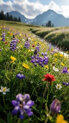 Obraz premium Vibrant Wildflowers in Mountainous Landscape.
