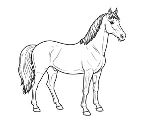 Obraz premium A line drawing of a horse standing still