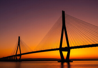 Fototapeta premium The Ravenl Bridge In Charleston, South Carolina 