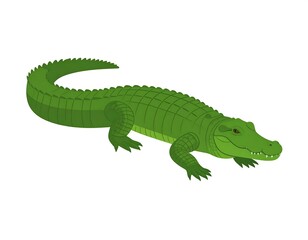 Obraz premium A large green cartoon crocodile with a long tail and sharp teeth