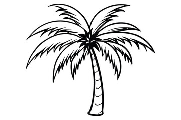 Obraz premium palm tree silhouette line art vector illustration