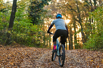 Fototapeta premium Mountain Biker On Forest Trail In Autumn Light Wearing Helmet And Bright Socks