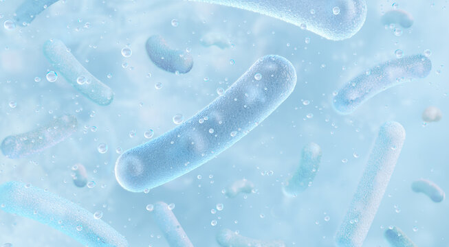 Fructilactobacillus sanfranciscensis: Proliferation of sourdough lactic acid bacteria in a fermentation environment. Rod-shaped bacilli. Probiotic health, gut microbiome, baking technology
