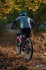 Naklejka premium Autumn Mountain Biking Through Leafy Forest Trail With Rider In Helmet And Colorful Gear