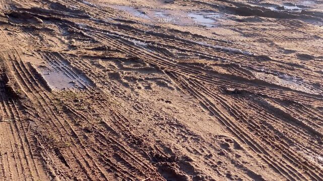 Mud tracks and rain puddles reflect soft morning light on a sandy coastal access road after rainfall